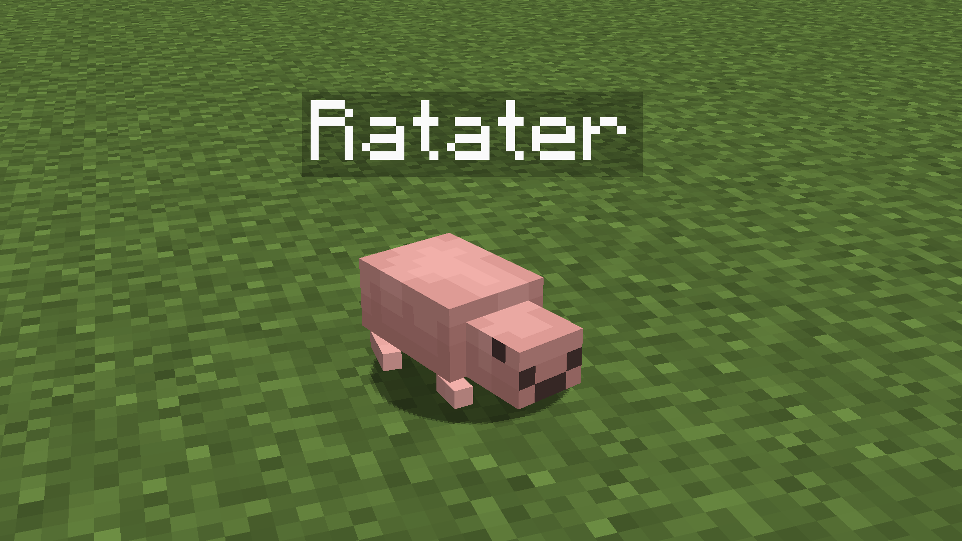 Ratater